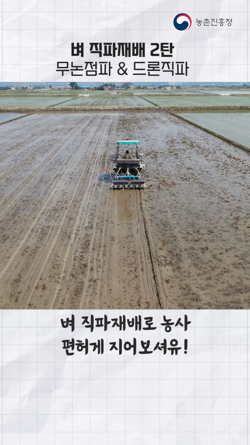 벼 직파재배 기술 쇼츠 B