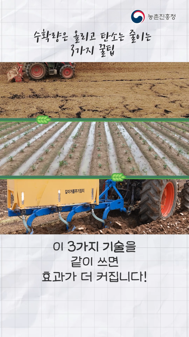 수확량 UP, 탄소량 DOWN~ 논밭 전환‧바이오차‧깊이 거름_쇼츠 B