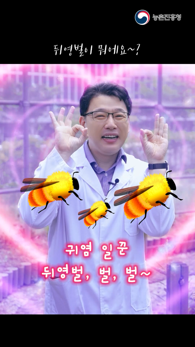 참외 망고 재배 시 꿀벌과 뒤영벌 이용 기술_쇼츠 A