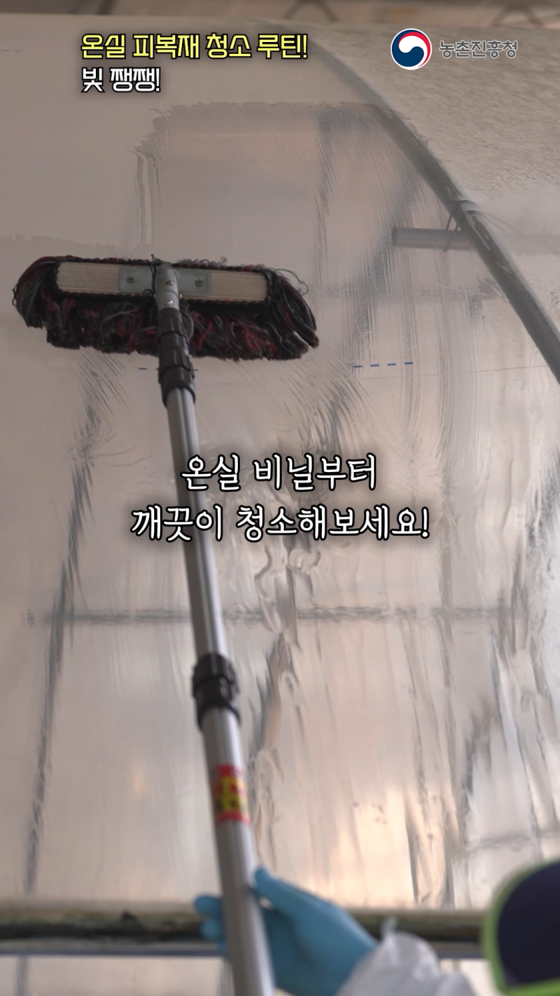 시설재배 일조량 감소에 따른 대응 기술 쇼츠 B