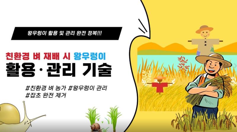 친환경 벼 재배 전주기 왕우렁이 안전사용 관리기술 종합화 현장실증