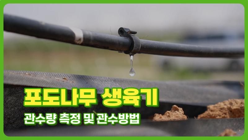 포도나무 생육기 관수량 측정 및 관수방법