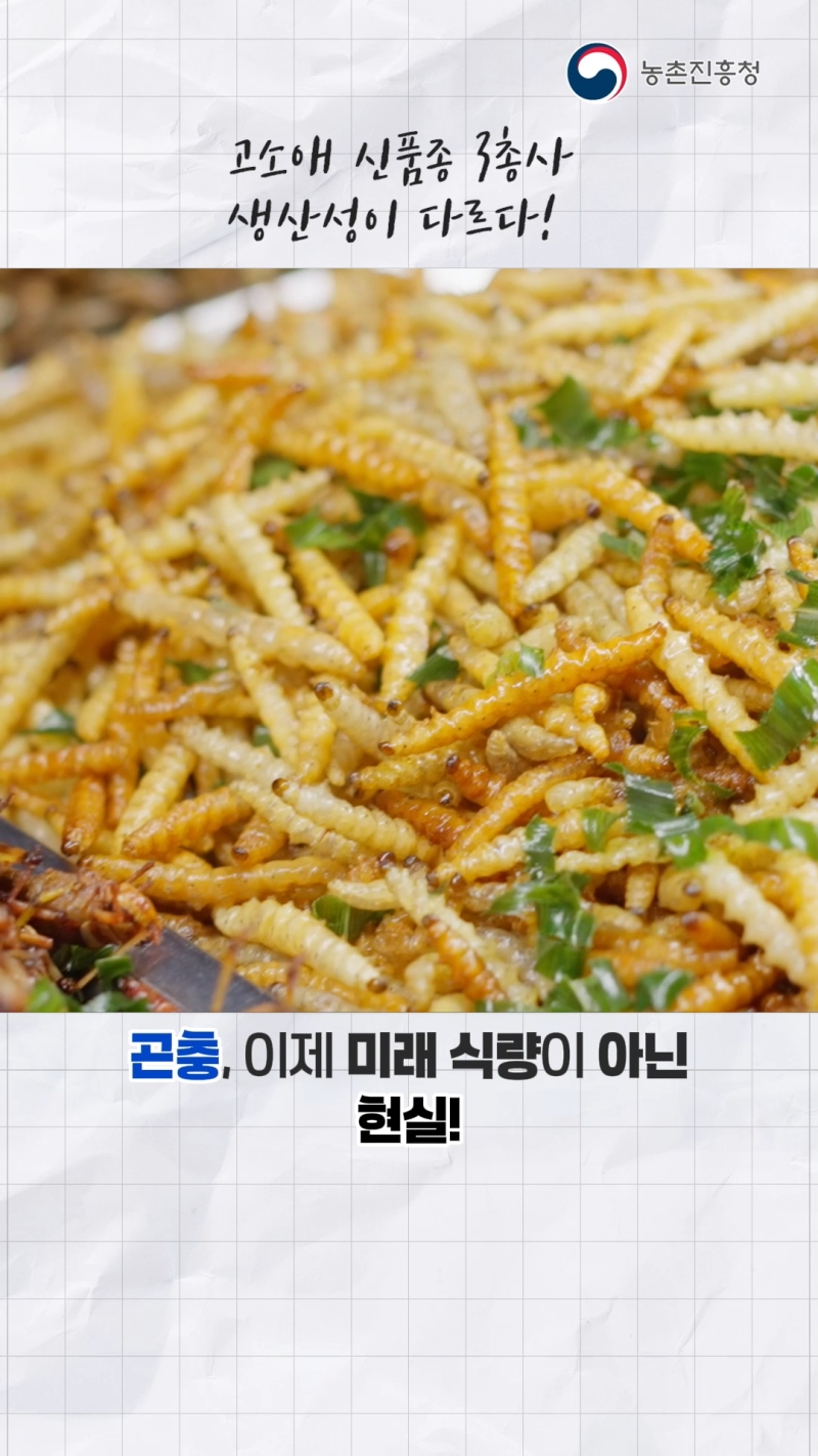 처음고소애 생산기술_쇼츠B