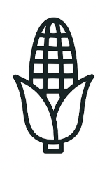 옥수수, 찰옥수수, 말린것 이미지