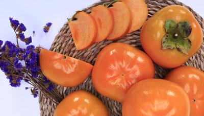 아삭 쫀득 이색 단감으로 소비자 입맛 잡는다