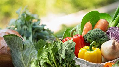 수출농산물 농약안전사용 온라인에서 쉽게 찾아 본다