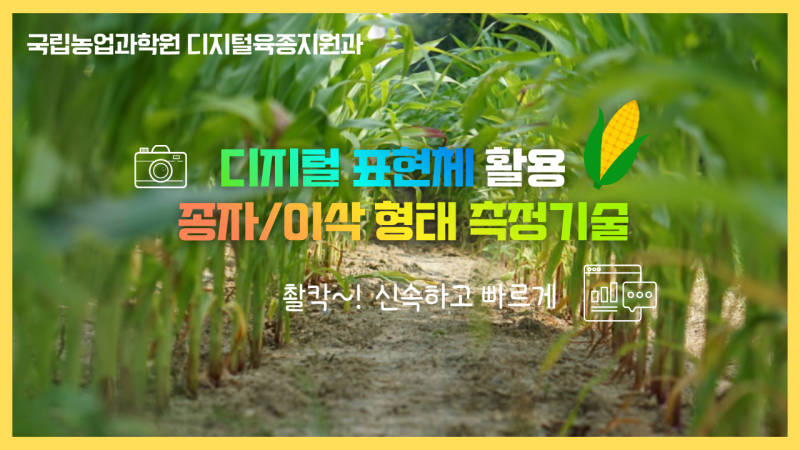 디지털 표현체 활용 종자, 이삭 형태 측정기술