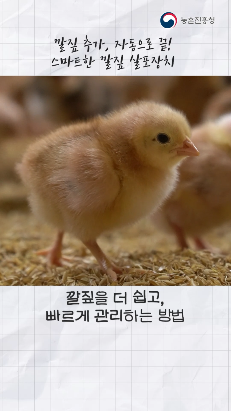 육계사 암모니아 저감을 위한 깔짚 살포기_쇼츠 B