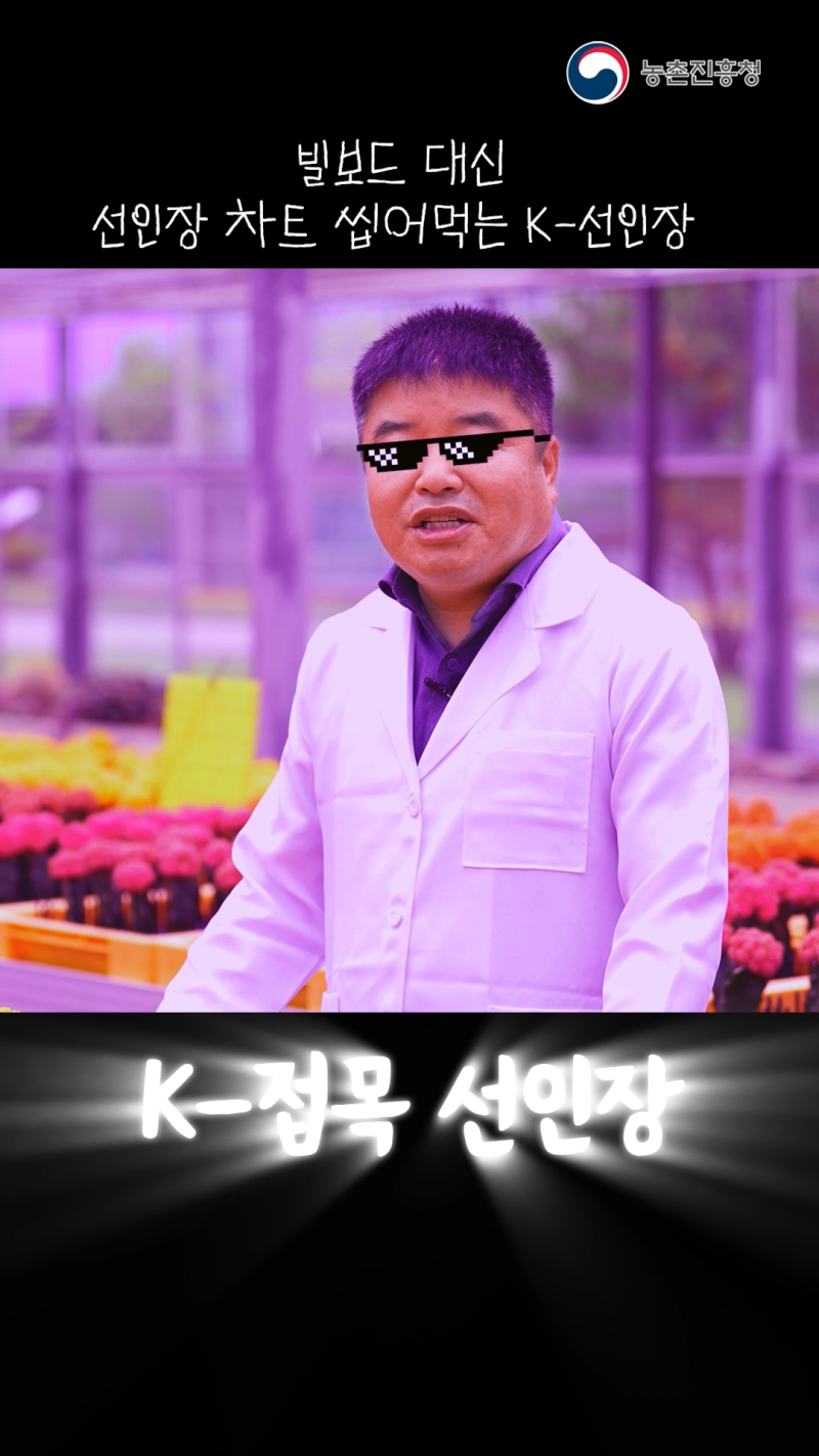 선인장 접목 기술_쇼츠 A