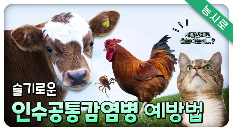 슬기로운 인수공통감염병 예방법
