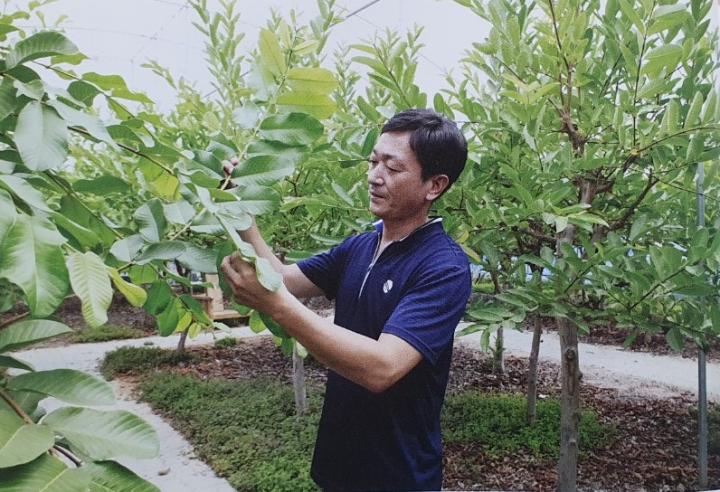 농업의 특별한 맛에 빠지다