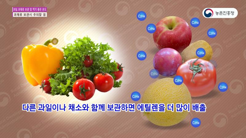 과채류 보관시 주의할 점