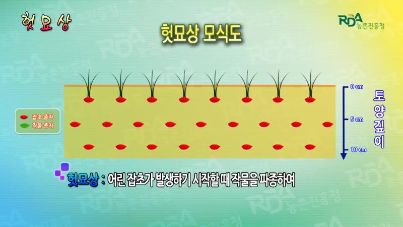 헛묘상_인터뷰(헛묘상의 장단점)