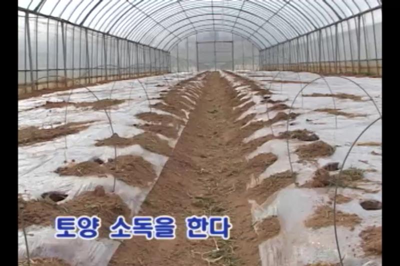 수박 재배지 토양관리법 토양 소독