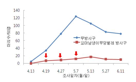 그림 1. 시설오이에서 꼬마남생이무당벌레 이용 목화진딧물 방제효과(국립원예특작과학원, 2010)