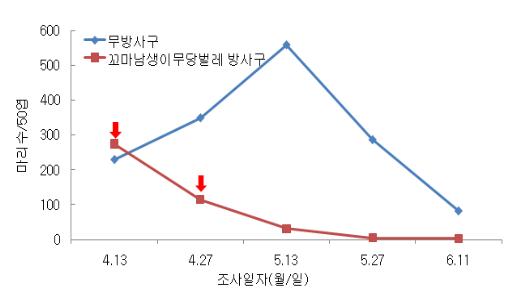 그림 2. 시설오이에서 꼬마남생이무당벌레 이용 싸리수염진딧물 방제효과(국립원예특작과학원, 2010)