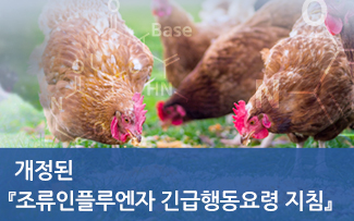 개정된 『조류인플루엔자 긴급행동요령 지침 이미지