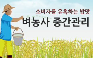 소비자를 유혹하는 밥맛! 벼농사 중간관리 이미지