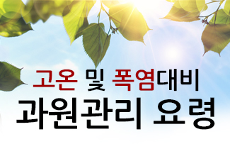 고온 및 폭염대비 과원관리 요령 이미지