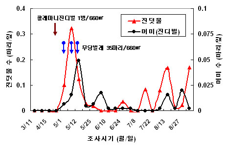 그림 1. 무당벌레와 콜레마니진디벌 방사에 의한 진딧물 방제효과(국립농업과학원, 2010).