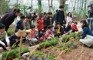 학교텃밭 이미지