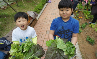 학교텃밭 이미지