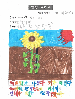 학교텃밭 이미지