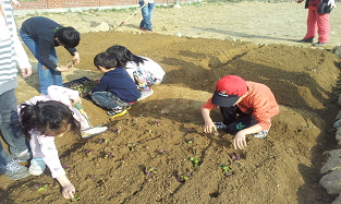 학교텃밭 이미지