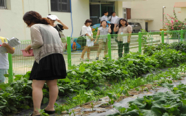 주요 식재 식물 이미지 